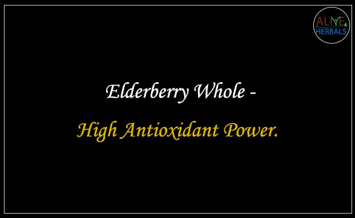 Dried elderberry - Buy from the online herbal store