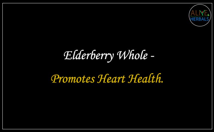 Dried elderberry - Buy from the natural health food store