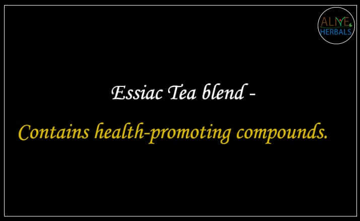 Essiac Tea blend - Buy from the Tea Store Brooklyn