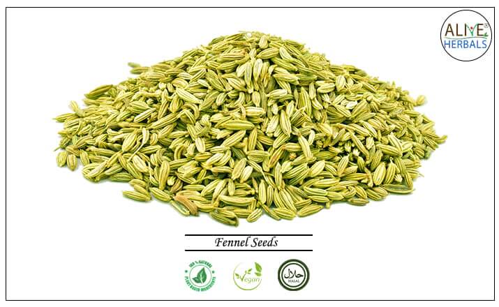 Fennel Seeds - Buy at the Online Spice Store - Alive Herbals.