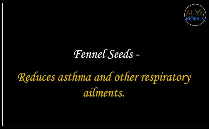 Fennel Seeds - Buy at the Best Spice Store NYC - Alive Herbals.