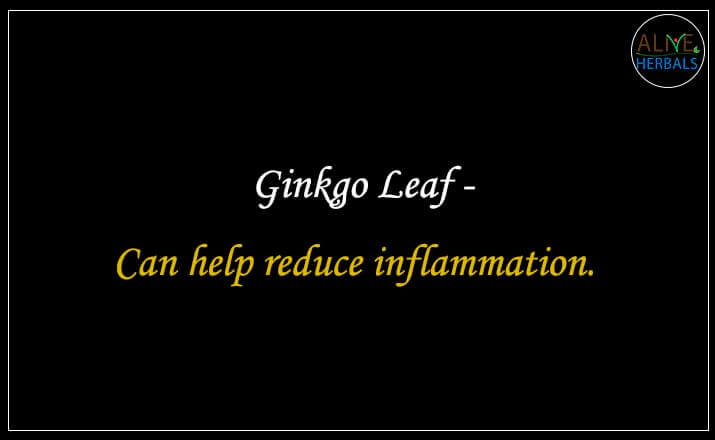 Ginkgo Leaf - Buy from the online herbal store