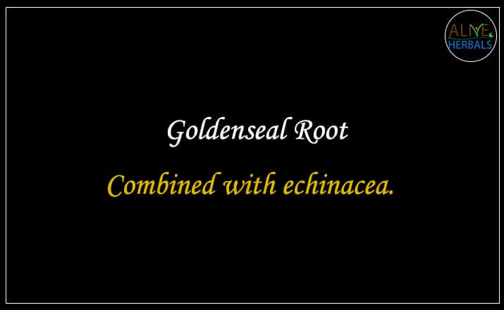 Goldenseal Root - Buy at the Herbal Store Online at Brooklyn, NY, USA - Alive Herbals.