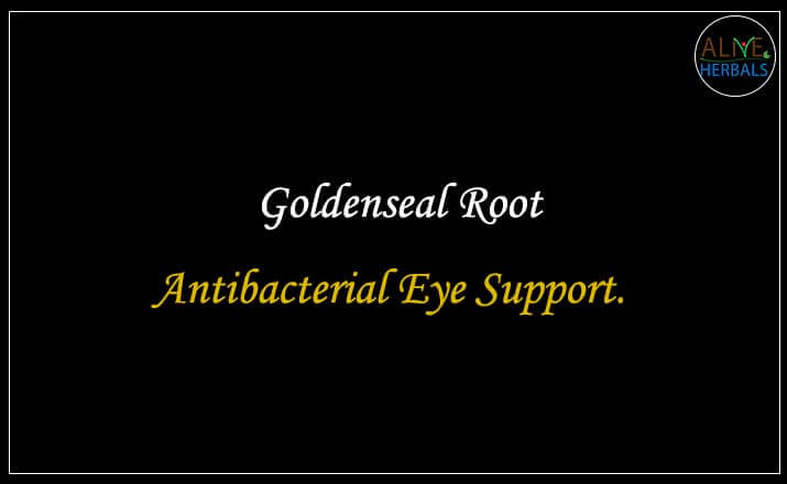 Goldenseal Root - Buy at Herb Shop NYC at Brooklyn, NY, USA - Alive Herbals.