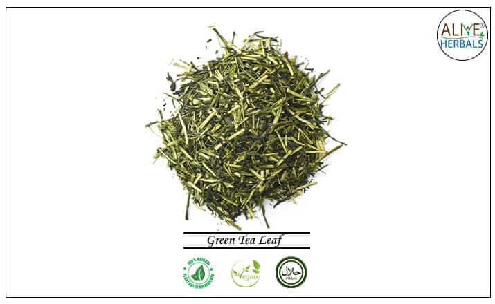 Green Tea Leaf -  Buy from the Tea Store NYC  