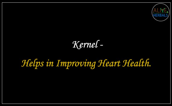 Kernel - Buy from the best dried fruits store