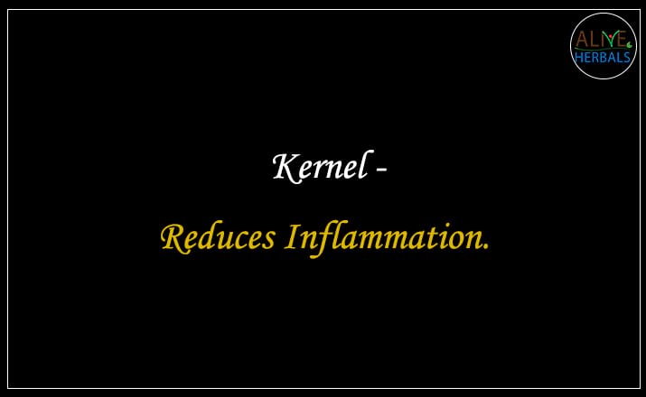 Kernel - Buy from the dried fruit shop