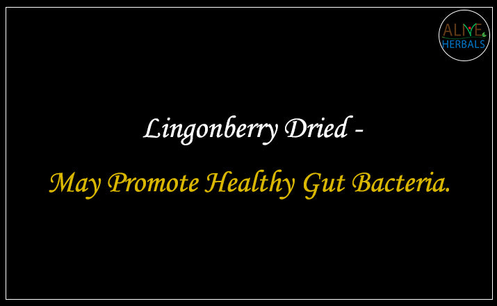 Lingonberry Dried - Buy from the best dried fruits store