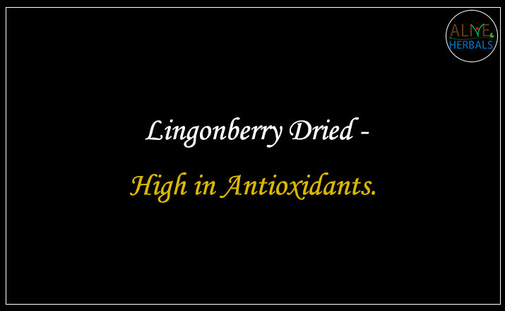 Lingonberry Dried - Buy from the dried fruit shop