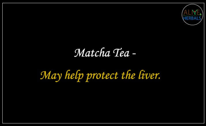 Matcha Tea - Buy from the tea store brooklyn.