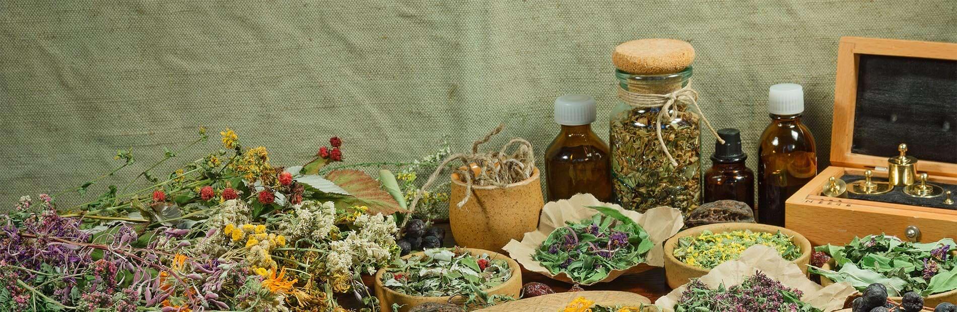 Natural herb store - buy bulk herbs - Alive Herbals