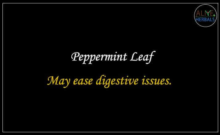 Peppermint Leaf - Buy from the natural herb store