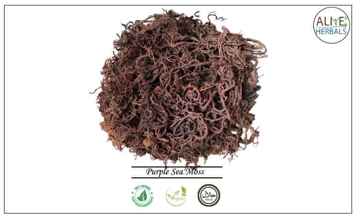 Purple Sea Moss - Buy from the health food store
