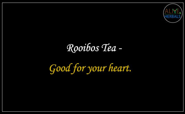 Rooibos Tea -  Buy from the Tea store near me.