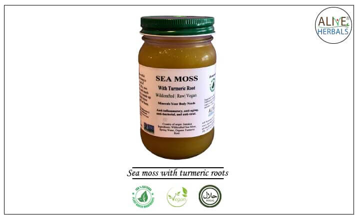Sea Moss Gel with turmeric roots - Buy at the Online Herbs Store at Brooklyn, NY, USA - Alive Herbals.