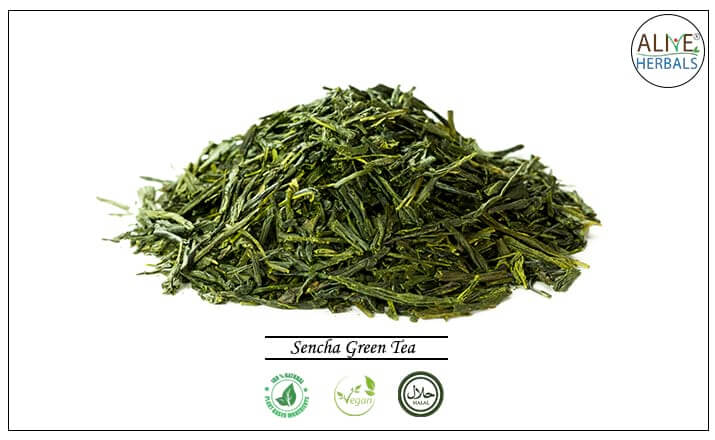 Sencha Green Tea - Buy from Tea Store NYC