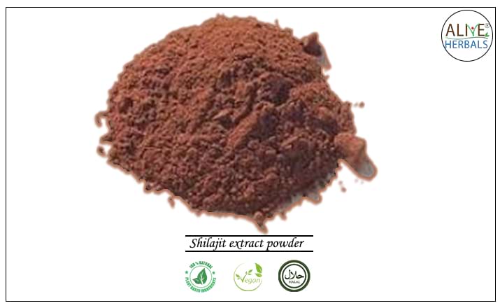 Shilajit extract powder - Buy from the health food store