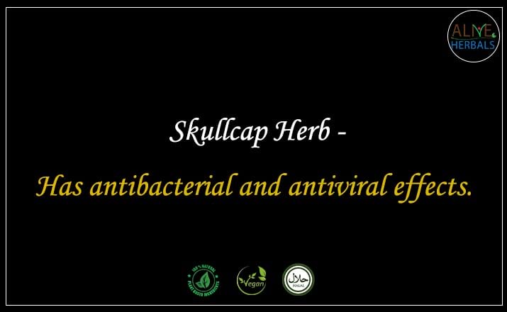 Skullcap Herb - Buy from the online herbal store