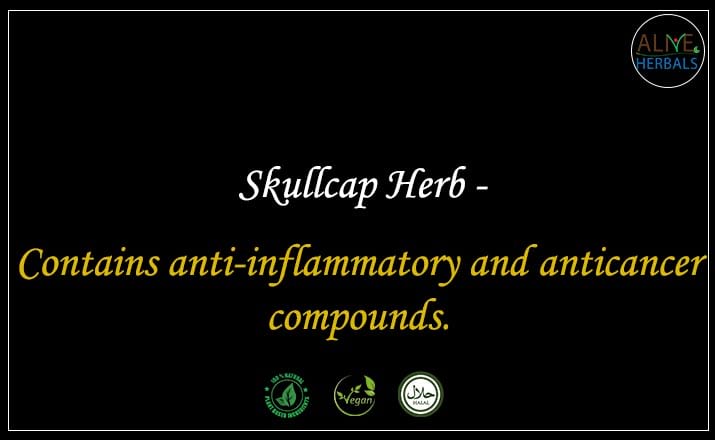 Skullcap Herb - Buy from the natural health food store
