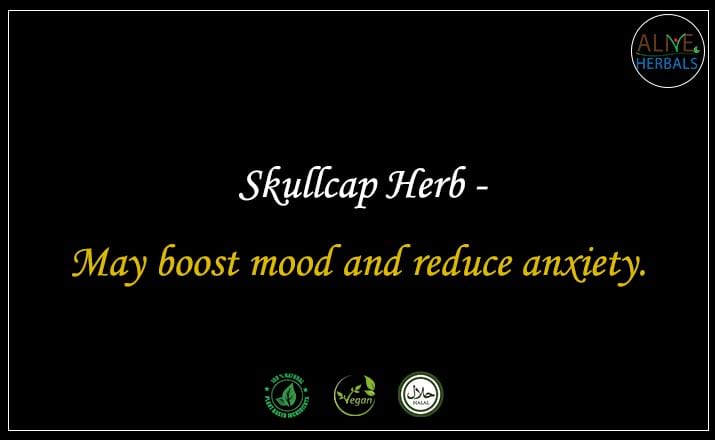 Skullcap Herb - Buy from the natural herb store