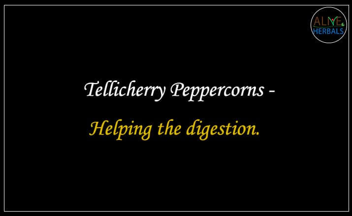 Tellicherry Peppercorns - Buy From the Spice Store NYC
