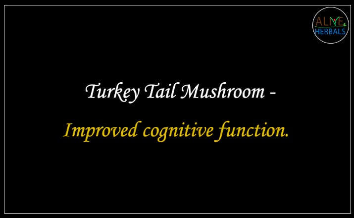 Turkey Tail Mushroom - Buy from the online herbal store