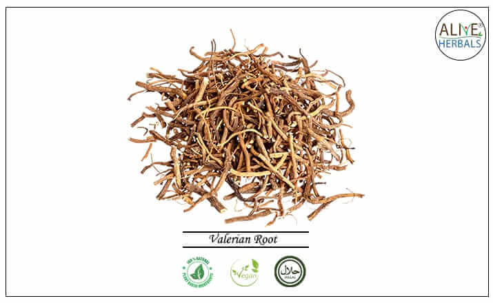 Valerian Root - Buy from the health food store