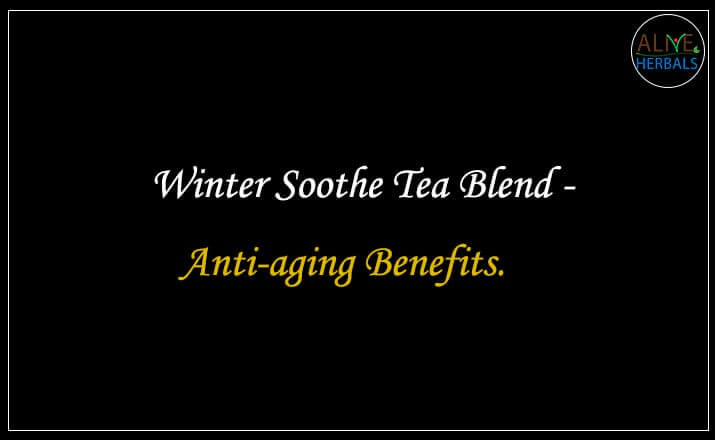 Winter Blend Tea - Buy from the Tea Store Near Me 