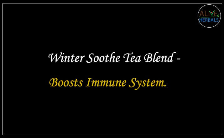 Winter Blend Tea - Buy from the Tea Store Brooklyn