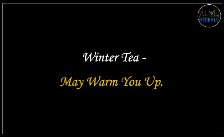 Winter Tea - Buy from the Tea Store Near Me 
