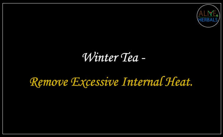 Winter Tea - Buy from the Health Food Store