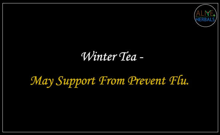 Winter Tea - Buy from the Tea Store Brooklyn