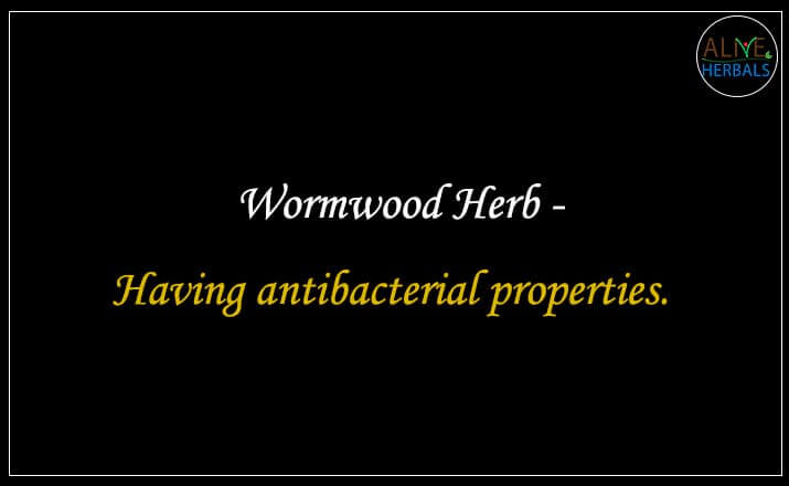 Wormwood Herb - Buy from the online herbal store
