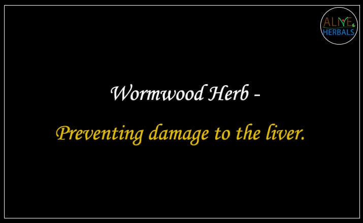 Wormwood Herb  - Buy from the natural health food store