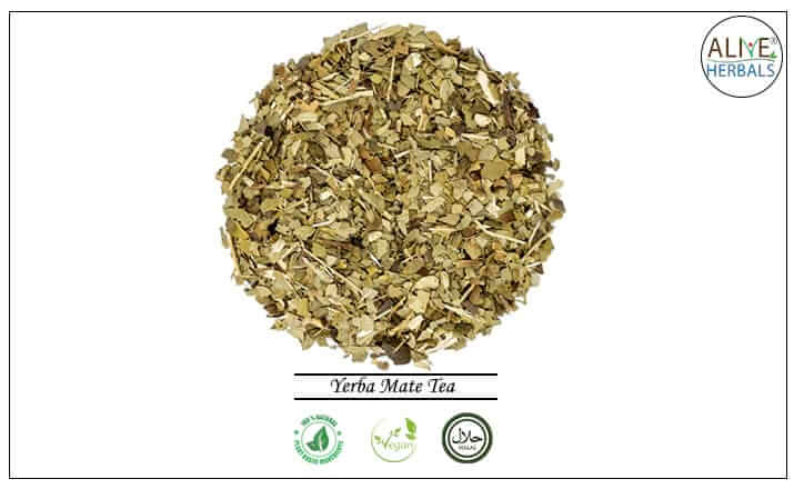 Yerba Mate Tea - Buy from Tea Store NYC