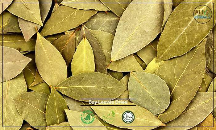 Bay Leaves Dried - Buy From the Online Spice Store