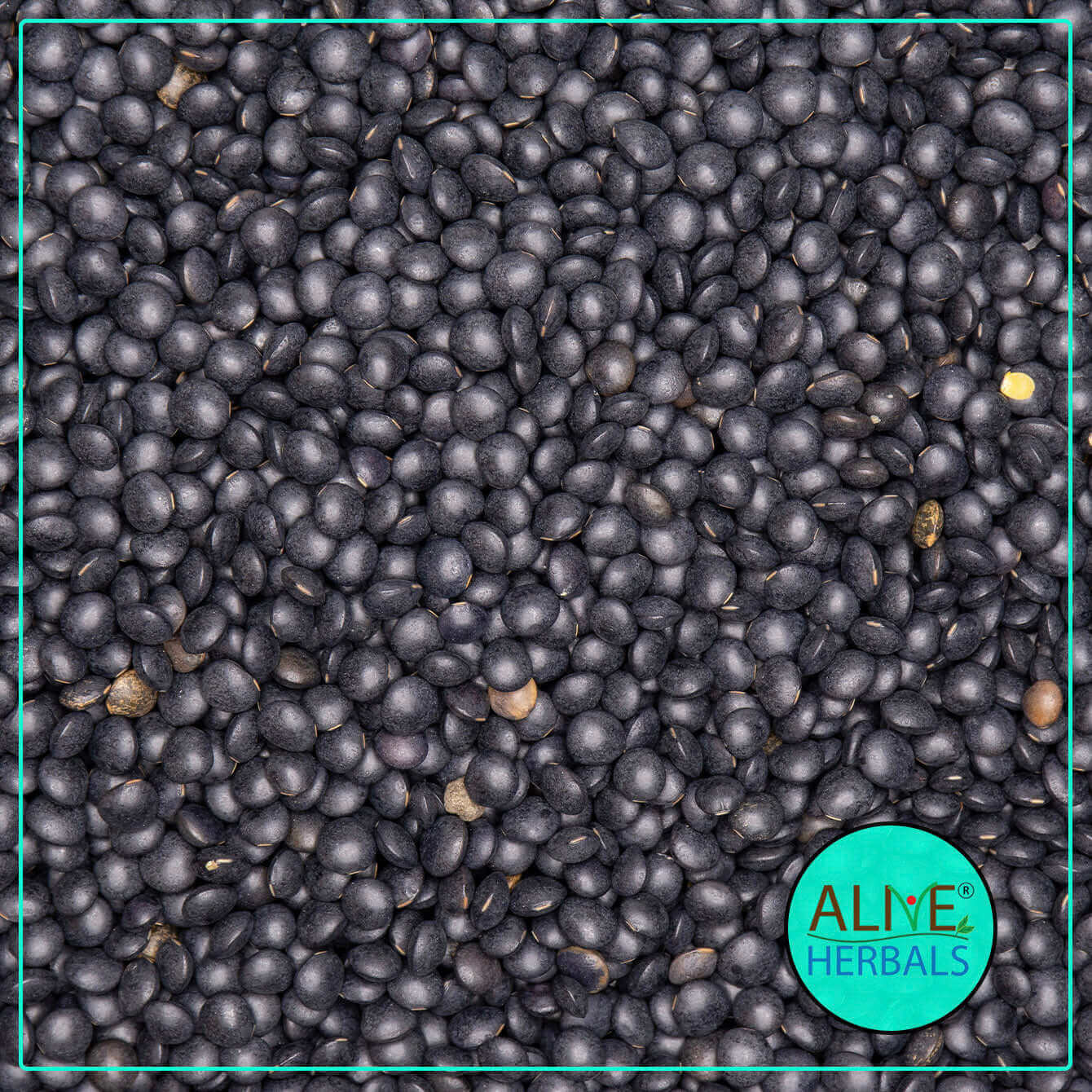 Black-Lentils-Alive-Herbals