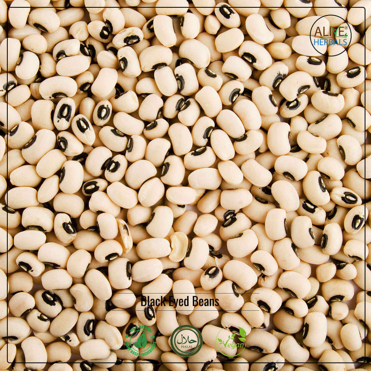 Black Eyed Beans - Shop at Natural Food Store | Alive Herbals.