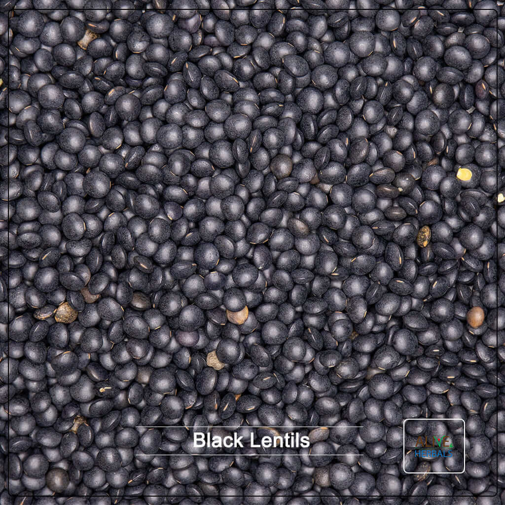 Black Lentils - Alive Herbals