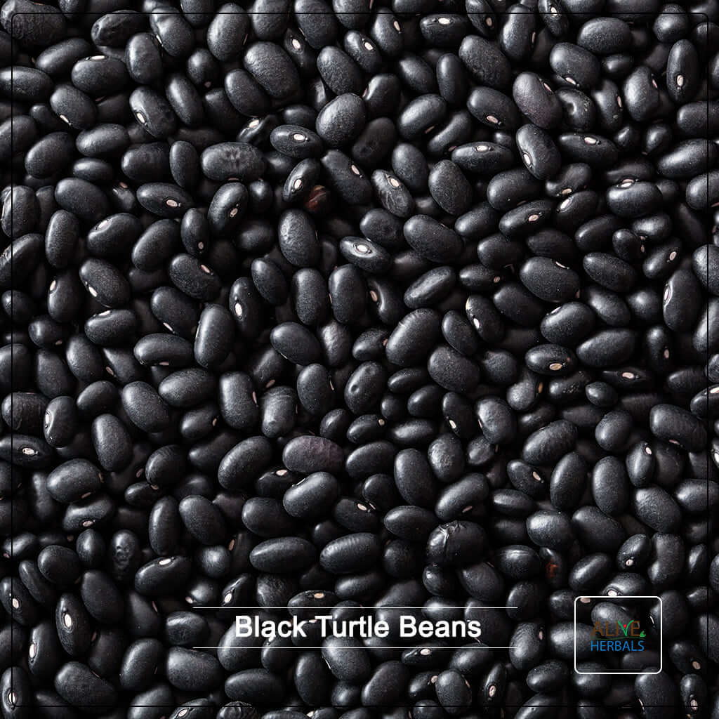Black Turtle Beans - Alive Herbals