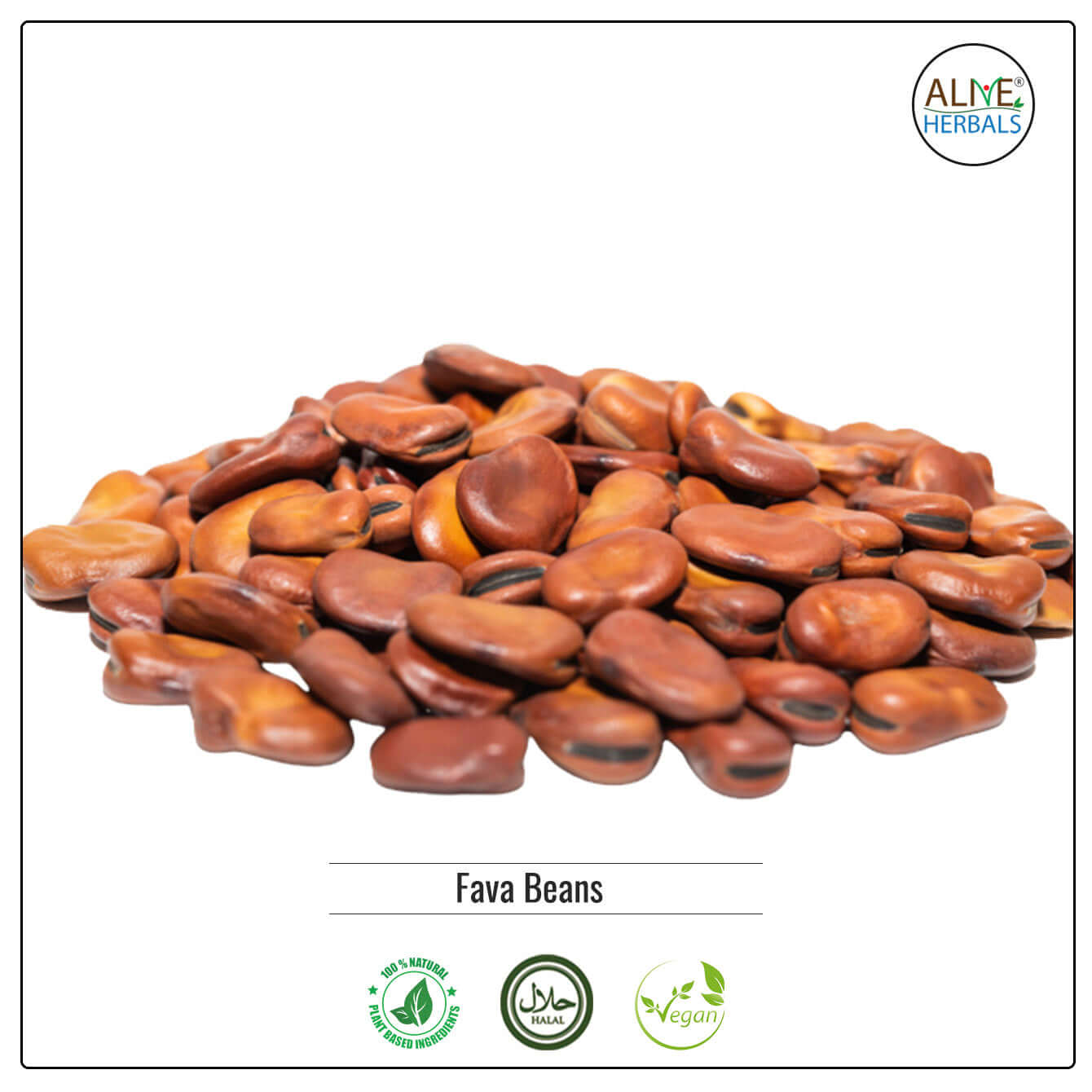 Fava Beans -  Shop at Natural Food Store | Alive Herbals.