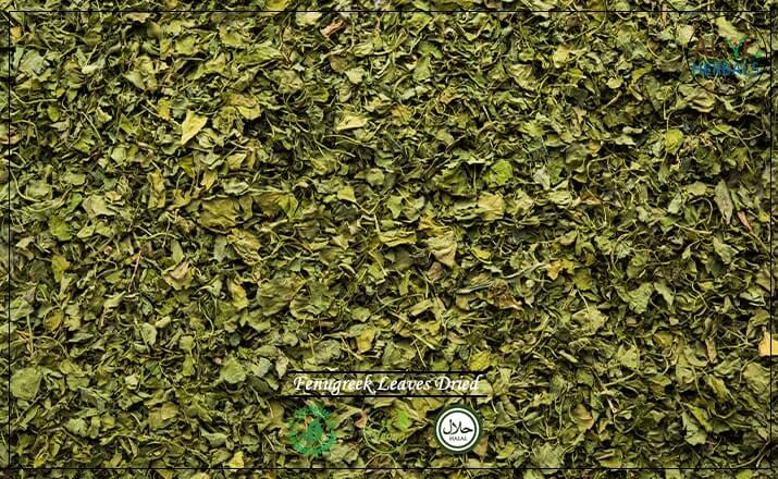 Fenugreek Leaves Dried - Buy from the health food store