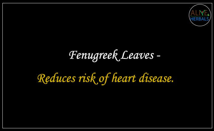 Fenugreek Leaves Dried - Buy from the online herbal store