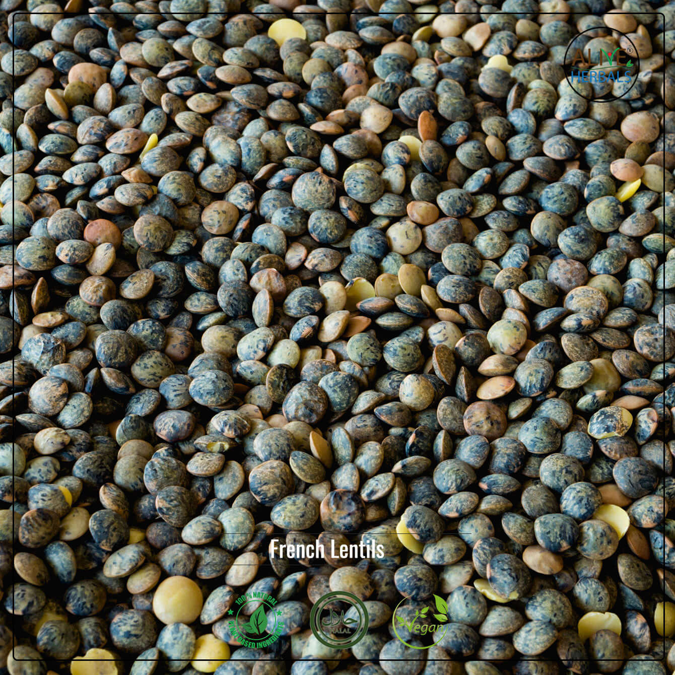 French Lentils - Shop at Natural Food Store | Alive Herbals.