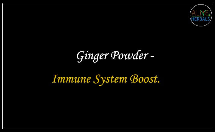 Ground Ginger - Buy from the Online Spice Store - Alive Herbals, Brooklyn, New York, USA.