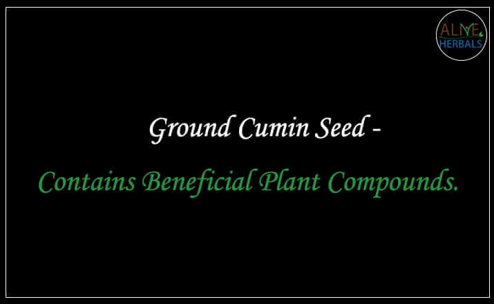 Ground Cumin Seed - Buy From the Spice Shop Brooklyn