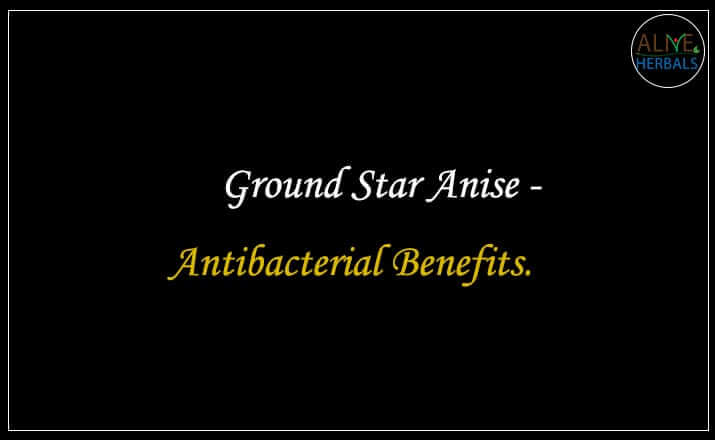 Ground Anise Seed - Buy from the Online Spice Store - Alive Herbals, Brooklyn, New York, USA.