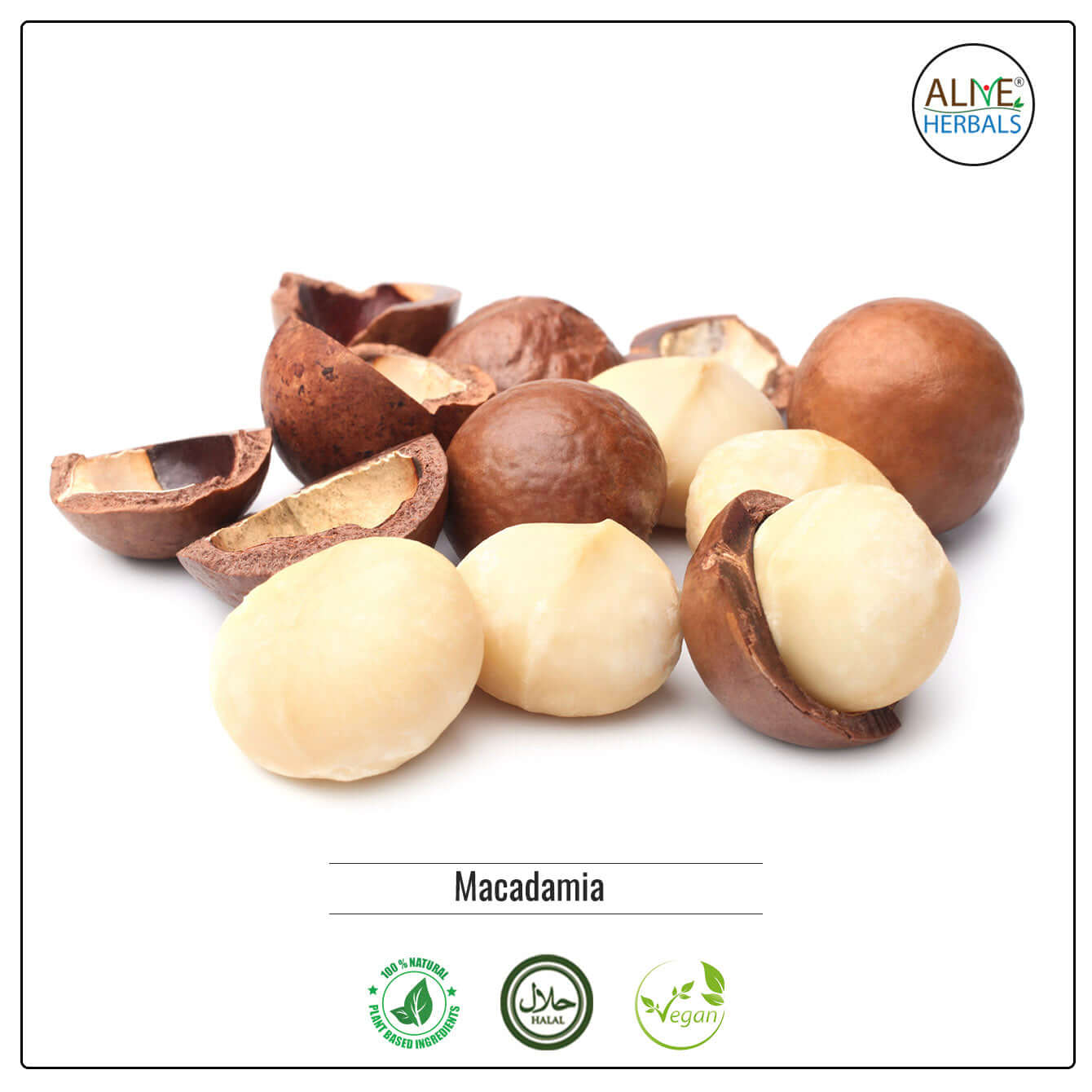 Raw Macadamia Nuts - Buy at Natural Food Store | Alive Herbals.