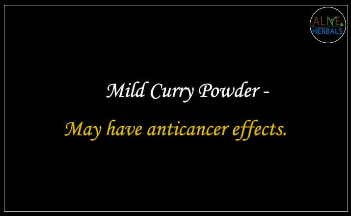 Mild Curry Powder - Buy From the Spice Shop Brooklyn