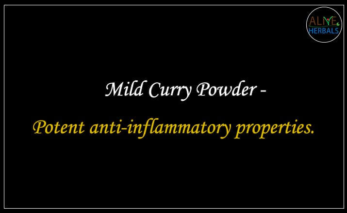 Mild Curry Powder - Buy From the Spice Store NYC